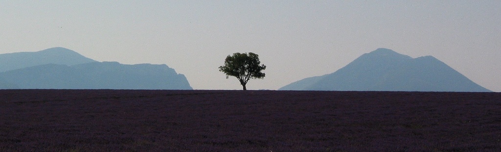 Pic: An important area to Art